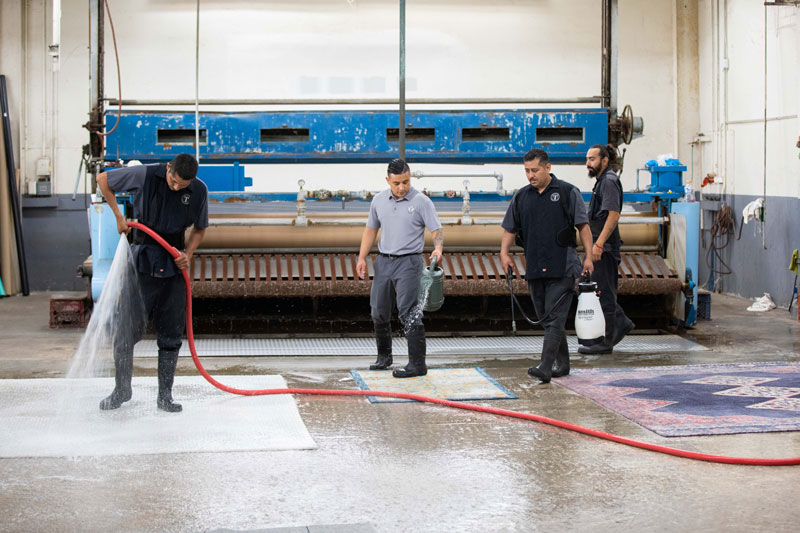 Professional rug washing process