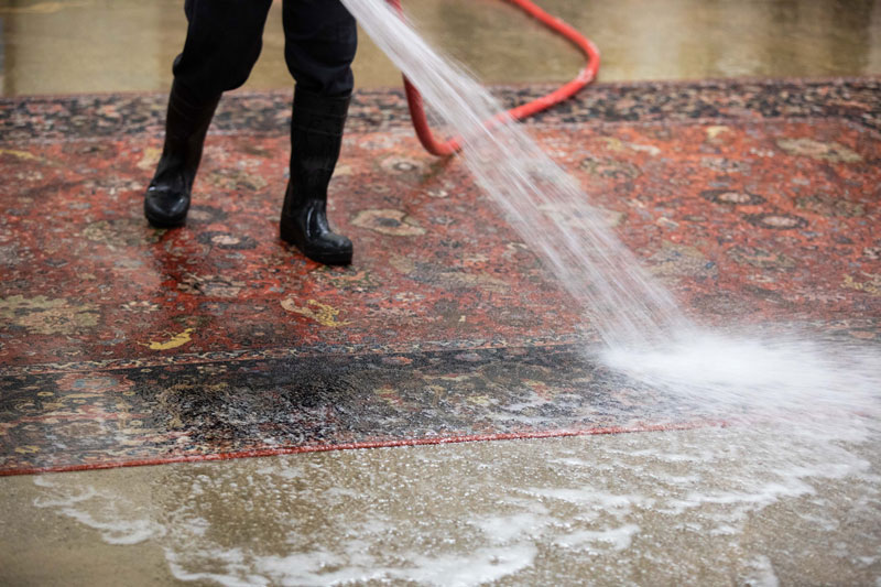 Wet Rug cleaning