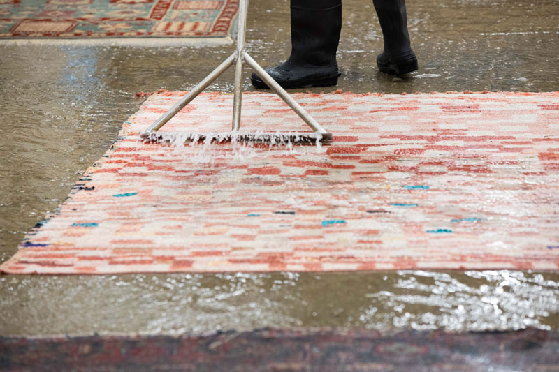 Professional Rug cleaning Process