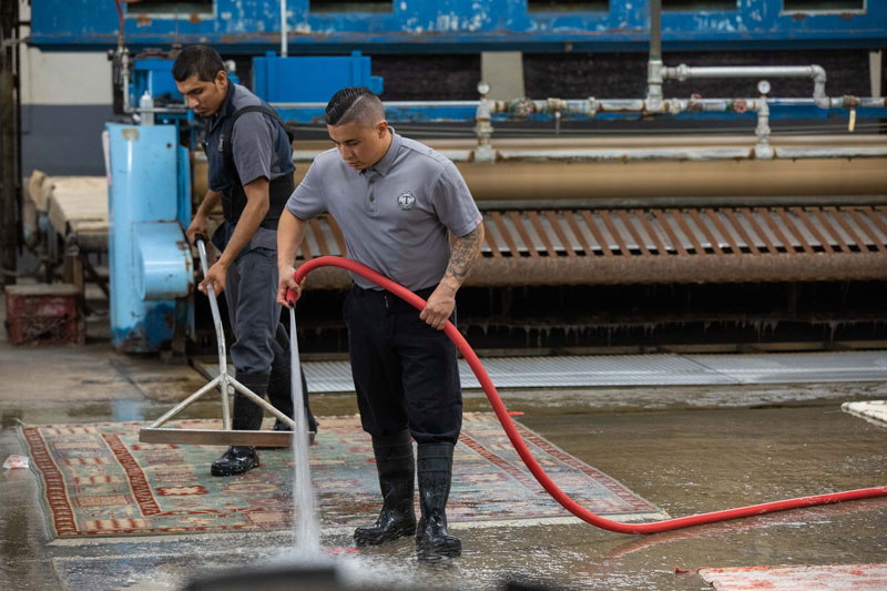 Our Professional Rug Cleaners in Los Angeles