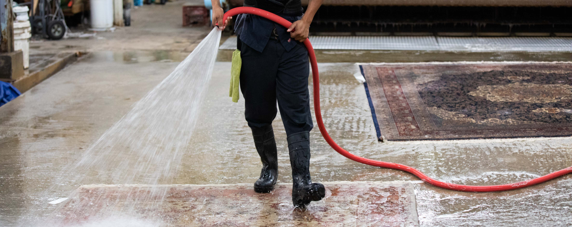 Get Stains out of your Carpet